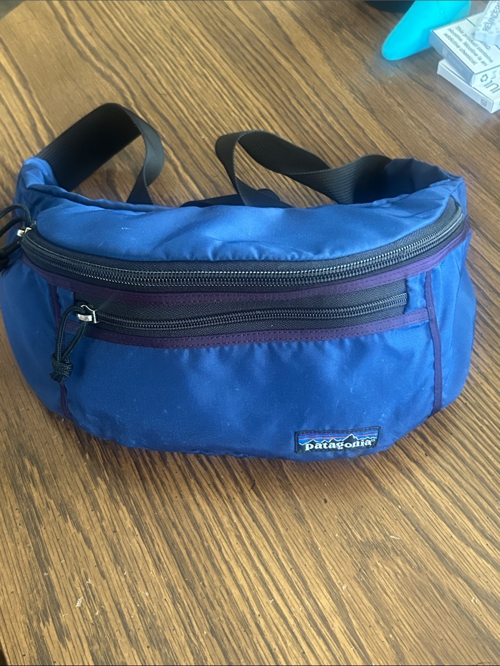 Patagonia Fanny Pack Hip Vault Crossbody Messenger bag